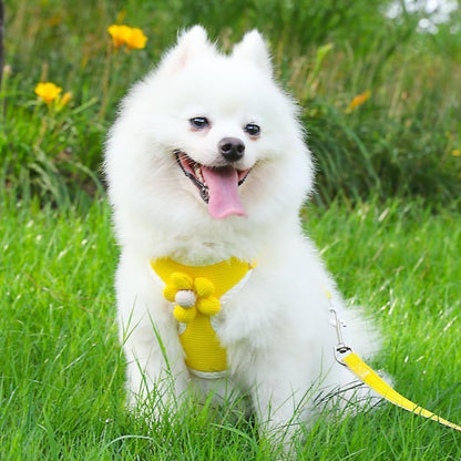 No-Pull Small Dog Harness with Leash Set, Cute Flower Vest, Escape-Proof & Breathable for Puppy Walking,Soft & Lightweight Pet Lead (Yellow, S fits 4-6lb)