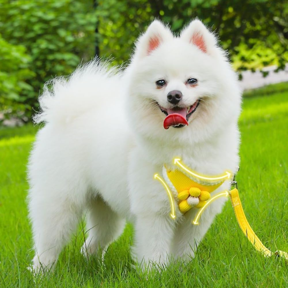 No-Pull Small Dog Harness with Leash Set, Cute Flower Vest, Escape-Proof & Breathable for Puppy Walking,Soft & Lightweight Pet Lead (Yellow, S fits 4-6lb)