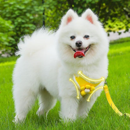 No-Pull Small Dog Harness with Leash Set, Cute Flower Vest, Escape-Proof & Breathable for Puppy Walking,Soft & Lightweight Pet Lead (Yellow, S fits 4-6lb)