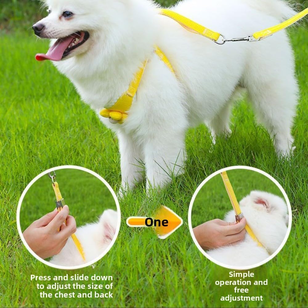 No-Pull Small Dog Harness with Leash Set, Cute Flower Vest, Escape-Proof & Breathable for Puppy Walking,Soft & Lightweight Pet Lead (Yellow, S fits 4-6lb)