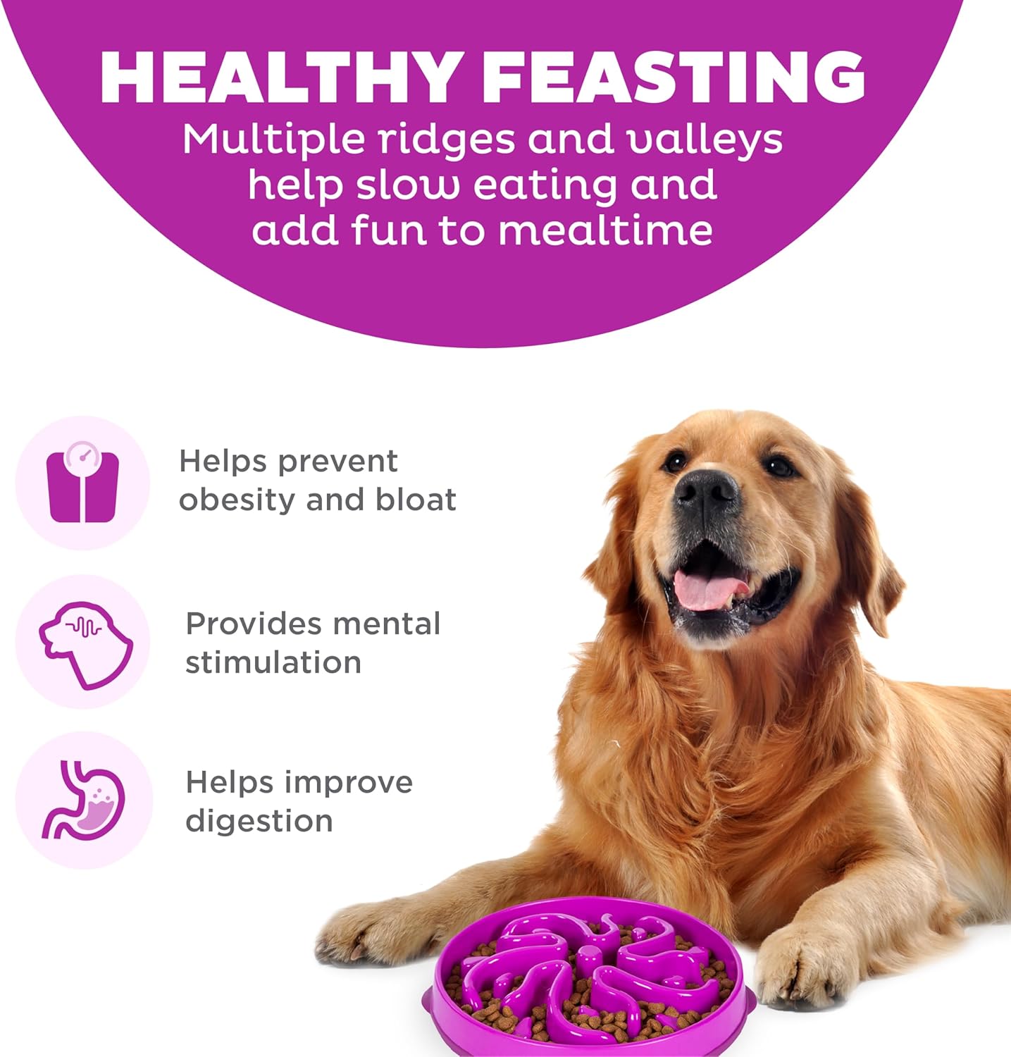 Fun Feeder Slo Bowl – Large 4‑Cup Capacity, Slow Feeding, Medium to Large Dogs, Non‑Slip, Purple, Flower Pattern