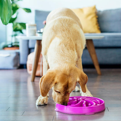 Fun Feeder Slo Bowl – Large 4‑Cup Capacity, Slow Feeding, Medium to Large Dogs, Non‑Slip, Purple, Flower Pattern
