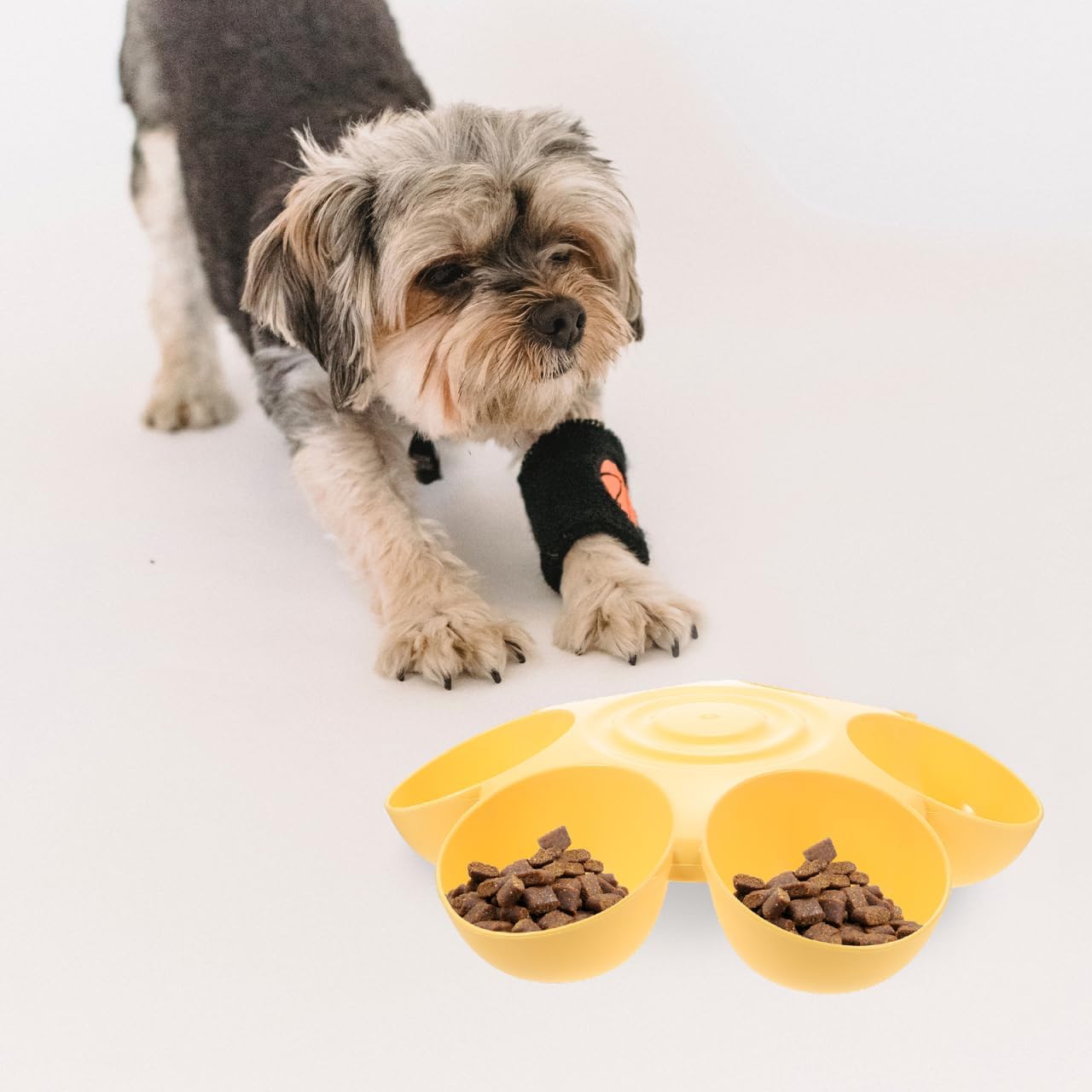 Flowers Pet Feeding Bowl 14.17 Inch Multi-Compartment Plastic Dish for Multiple Cats and Dogs Feeding and Drinking Bowls Ideal for Home and Outdoor Use