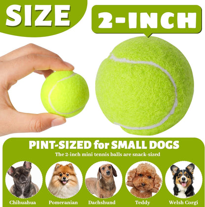 20 Pack Tennis Balls for Dogs, 2 inch Dog Toy Ball with Mesh Bag, Small Tennis Balls Pet Dog Playing Ball for Pet Puppy (Yellow)