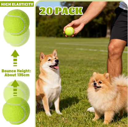 20 Pack Tennis Balls for Dogs, 2 inch Dog Toy Ball with Mesh Bag, Small Tennis Balls Pet Dog Playing Ball for Pet Puppy (Yellow)