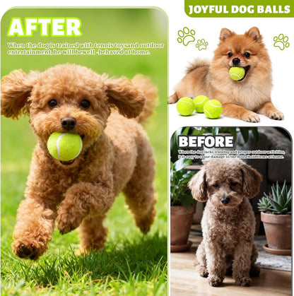 20 Pack Tennis Balls for Dogs, 2 inch Dog Toy Ball with Mesh Bag, Small Tennis Balls Pet Dog Playing Ball for Pet Puppy (Yellow)