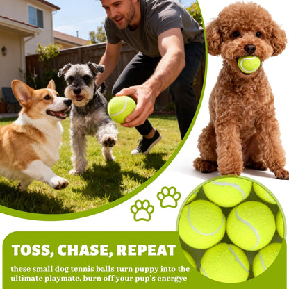 20 Pack Tennis Balls for Dogs, 2 inch Dog Toy Ball with Mesh Bag, Small Tennis Balls Pet Dog Playing Ball for Pet Puppy (Yellow)