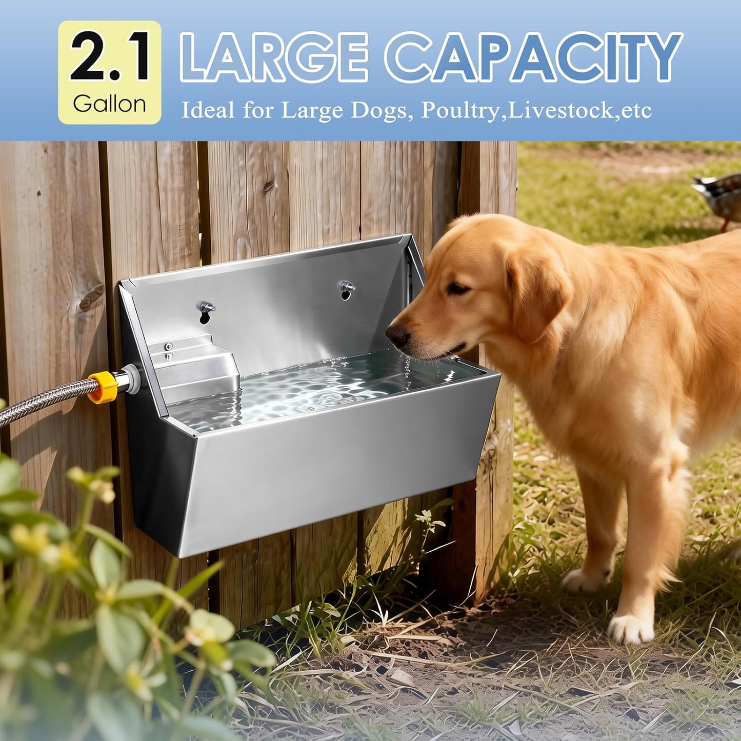 Automatic Water Dispenser for Large Dogs, 2.1 Gallon Stainless Steel Auto Water Bowl Self Filling, Waterer Feeder for Outdoor Animals Drinking, Chicken Livestock (Drainage Hole)