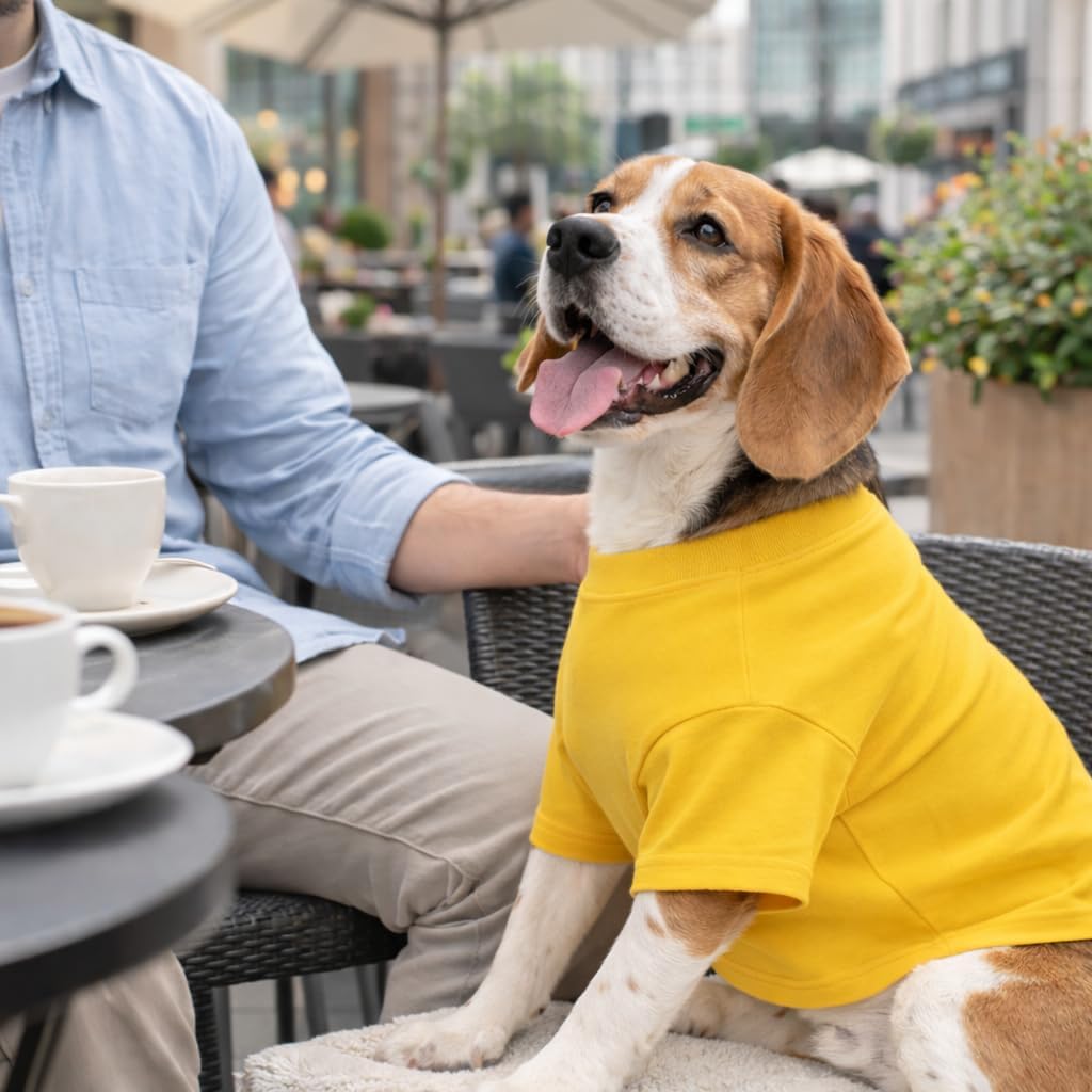 Bulldog Clothes Dog Clothing Blank T-Shirt Tee Shirts for French Bulldog English Bulldog American Pit Bull Pugs 100% Cotton Skin Care Yellow B-L