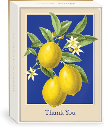 Boxed Notecards Elegant Blank 12-Count Thank You Cards with Embossed Detail, 3.5" x 5", Lemons