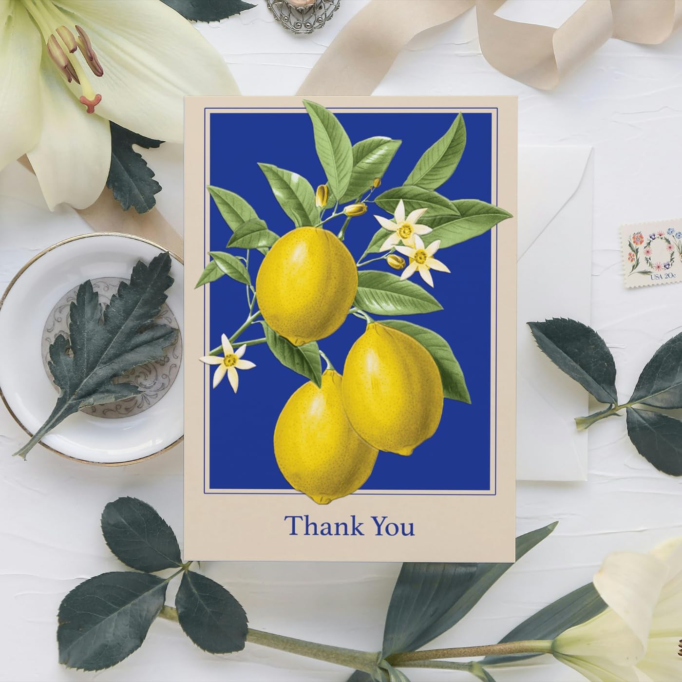 Boxed Notecards Elegant Blank 12-Count Thank You Cards with Embossed Detail, 3.5" x 5", Lemons