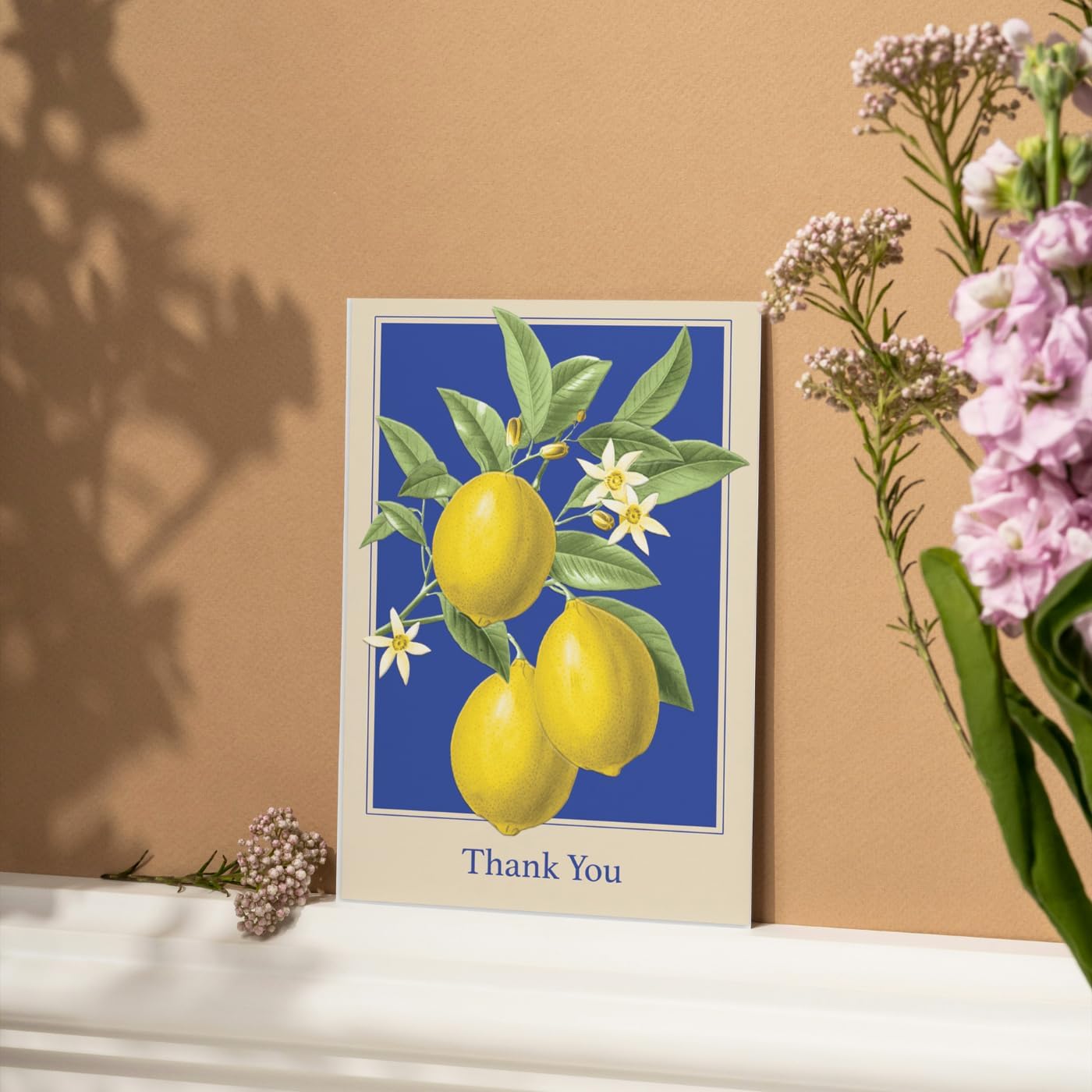 Boxed Notecards Elegant Blank 12-Count Thank You Cards with Embossed Detail, 3.5" x 5", Lemons