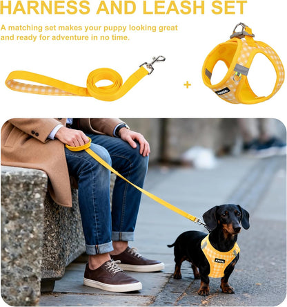 Step in Small Dog Harness and Leash Set, Puppy Pet Vest, Yellow S | Breathable Mesh, Adjustable Fit, No-Pull Reflective Design, Escape Proof, for Small-Medium Dogs, Outdoor Walking, Running