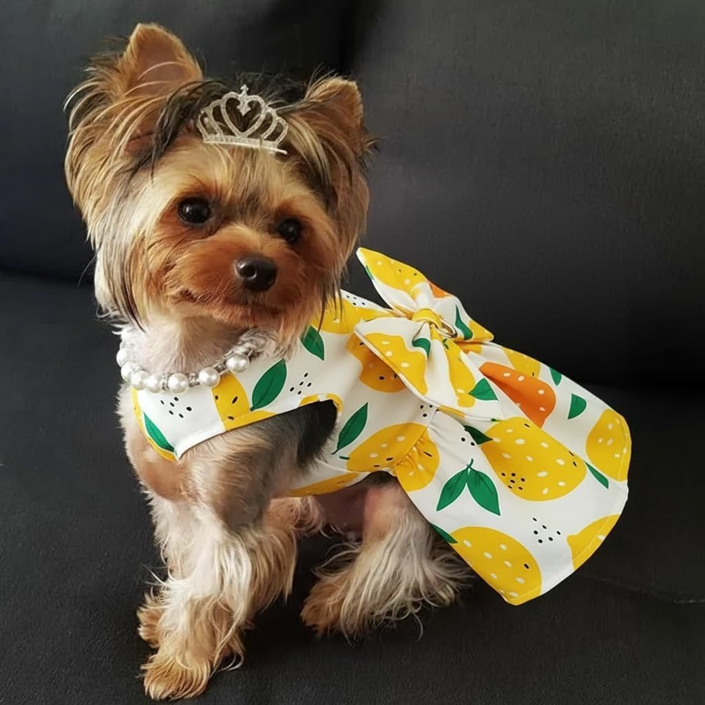 Dog Dress Bowknot Harness Leash Set for Small Dogs Yellow Lemon Dog Cat Clothes Cute Puppy Outfits Pet Clothes Spring Summer Breathable Dresses(Samll)