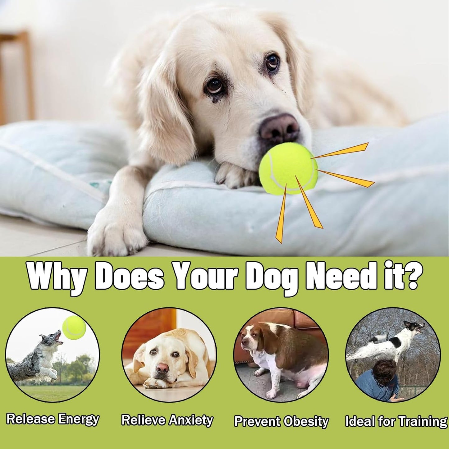 Dog Tennis Balls, 20 Pack 2.5 inch Floatable Squeaky Tennis Balls for Fetch Exercise, Natural Rubber Squeaky Dog Balls Training Safe (Yellow)