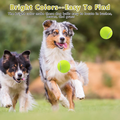 Dog Tennis Balls, 20 Pack 2.5 inch Floatable Squeaky Tennis Balls for Fetch Exercise, Natural Rubber Squeaky Dog Balls Training Safe (Yellow)