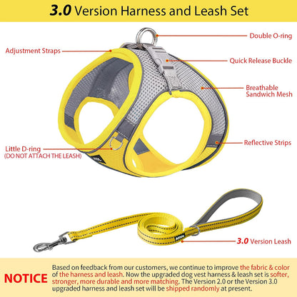 Comfortable Dog Harness and Leash Set for Walking - Spring Step in Vest Harness,Reflective Bands, Adjustable No Pull Puppy Essentials, for Small Dogs and House Cats Yellow XS | Light, Soft, Breathable Air Mesh, Escape-Proof, Easy on and Remove with Hook