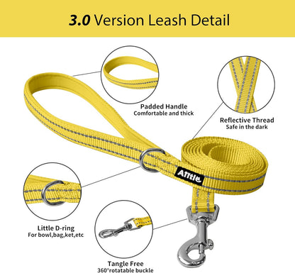 Comfortable Dog Harness and Leash Set for Walking - Spring Step in Vest Harness,Reflective Bands, Adjustable No Pull Puppy Essentials, for Small Dogs and House Cats Yellow XS | Light, Soft, Breathable Air Mesh, Escape-Proof, Easy on and Remove with Hook