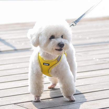 Comfortable Dog Harness and Leash Set for Walking - Spring Step in Vest Harness,Reflective Bands, Adjustable No Pull Puppy Essentials, for Small Dogs and House Cats Yellow XS | Light, Soft, Breathable Air Mesh, Escape-Proof, Easy on and Remove with Hook