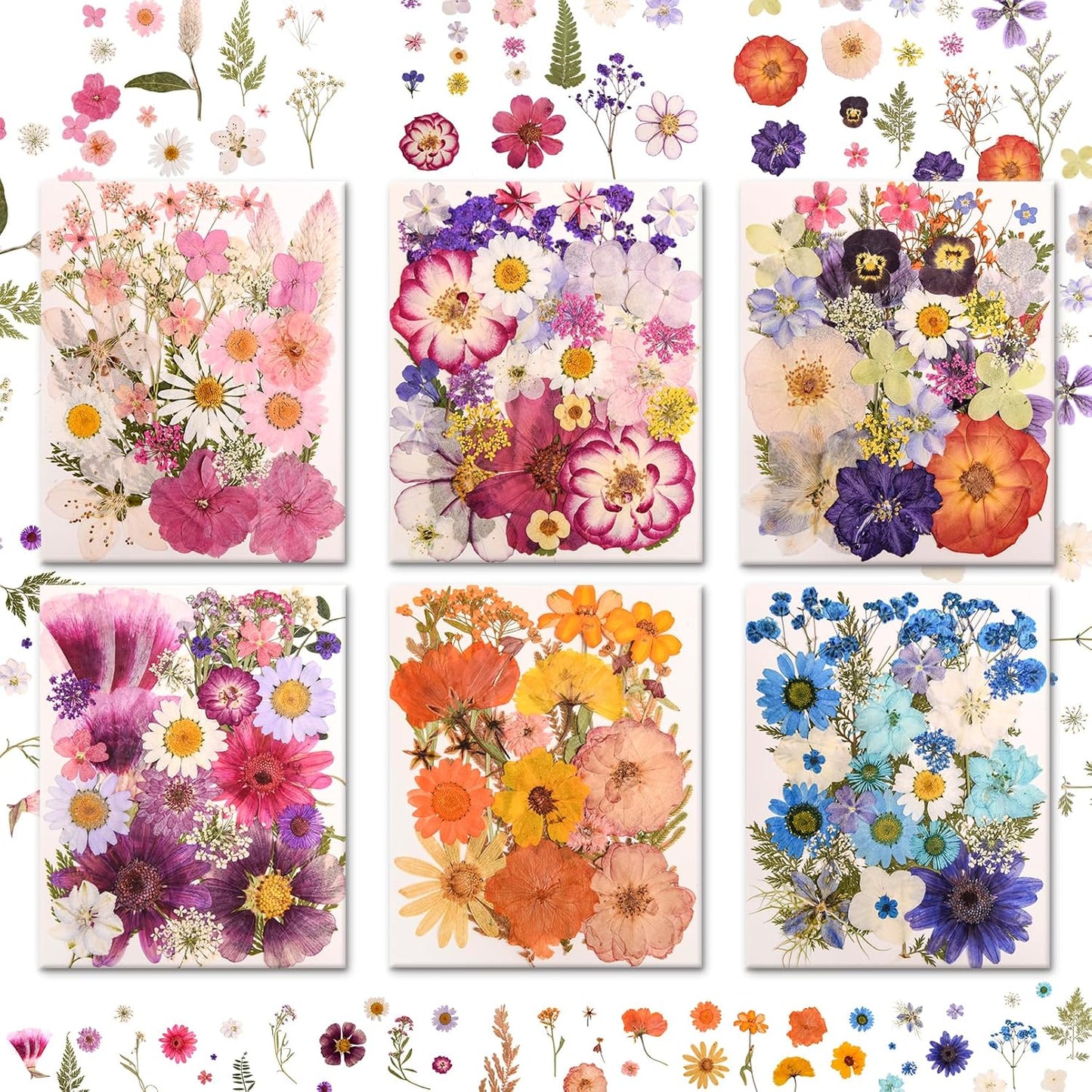 182 PCS Real Pressed Dried Flowers and Leaves for DIY Crafts | Real Natural Dry Flowers with Tweezers For Resin Art, Candle, Nails Décor, Jewelry, Scrapbooking, Soap, Photo frame