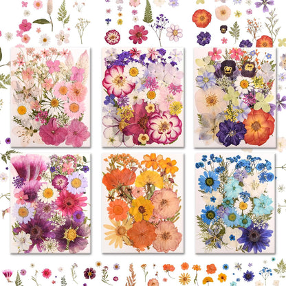 182 PCS Real Pressed Dried Flowers and Leaves for DIY Crafts | Real Natural Dry Flowers with Tweezers For Resin Art, Candle, Nails Décor, Jewelry, Scrapbooking, Soap, Photo frame