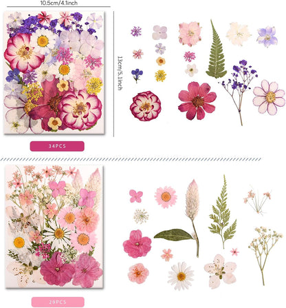 182 PCS Real Pressed Dried Flowers and Leaves for DIY Crafts | Real Natural Dry Flowers with Tweezers For Resin Art, Candle, Nails Décor, Jewelry, Scrapbooking, Soap, Photo frame