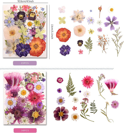 182 PCS Real Pressed Dried Flowers and Leaves for DIY Crafts | Real Natural Dry Flowers with Tweezers For Resin Art, Candle, Nails Décor, Jewelry, Scrapbooking, Soap, Photo frame