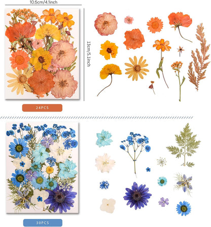 182 PCS Real Pressed Dried Flowers and Leaves for DIY Crafts | Real Natural Dry Flowers with Tweezers For Resin Art, Candle, Nails Décor, Jewelry, Scrapbooking, Soap, Photo frame