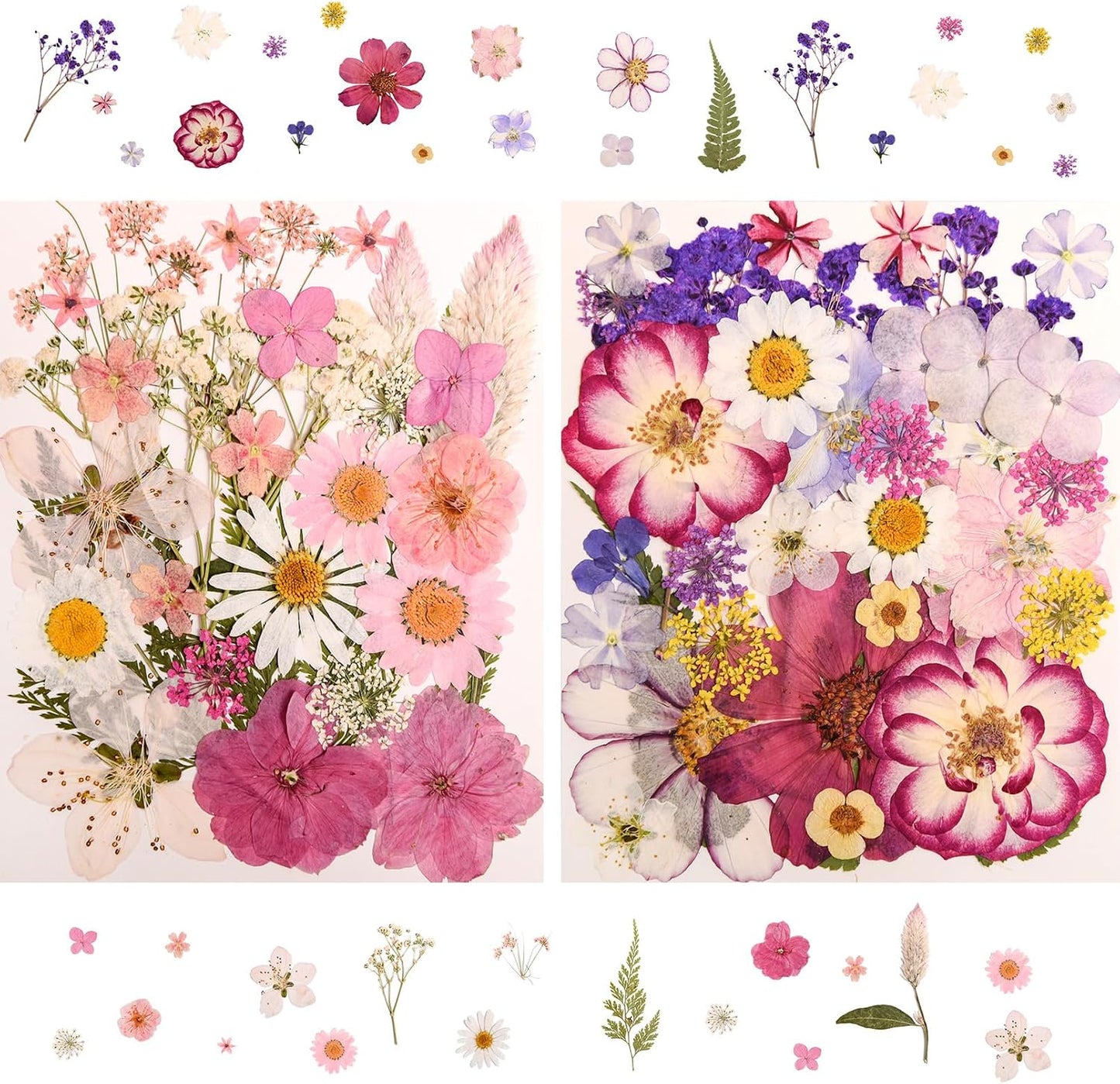 182 PCS Real Pressed Dried Flowers and Leaves for DIY Crafts | Real Natural Dry Flowers with Tweezers For Resin Art, Candle, Nails Décor, Jewelry, Scrapbooking, Soap, Photo frame