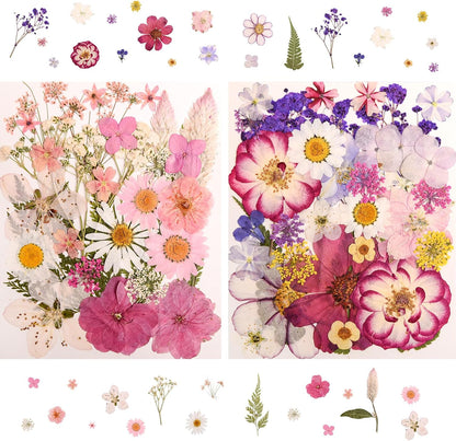 182 PCS Real Pressed Dried Flowers and Leaves for DIY Crafts | Real Natural Dry Flowers with Tweezers For Resin Art, Candle, Nails Décor, Jewelry, Scrapbooking, Soap, Photo frame