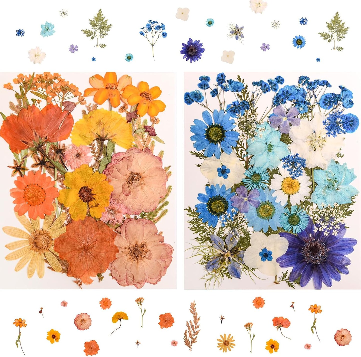 182 PCS Real Pressed Dried Flowers and Leaves for DIY Crafts | Real Natural Dry Flowers with Tweezers For Resin Art, Candle, Nails Décor, Jewelry, Scrapbooking, Soap, Photo frame