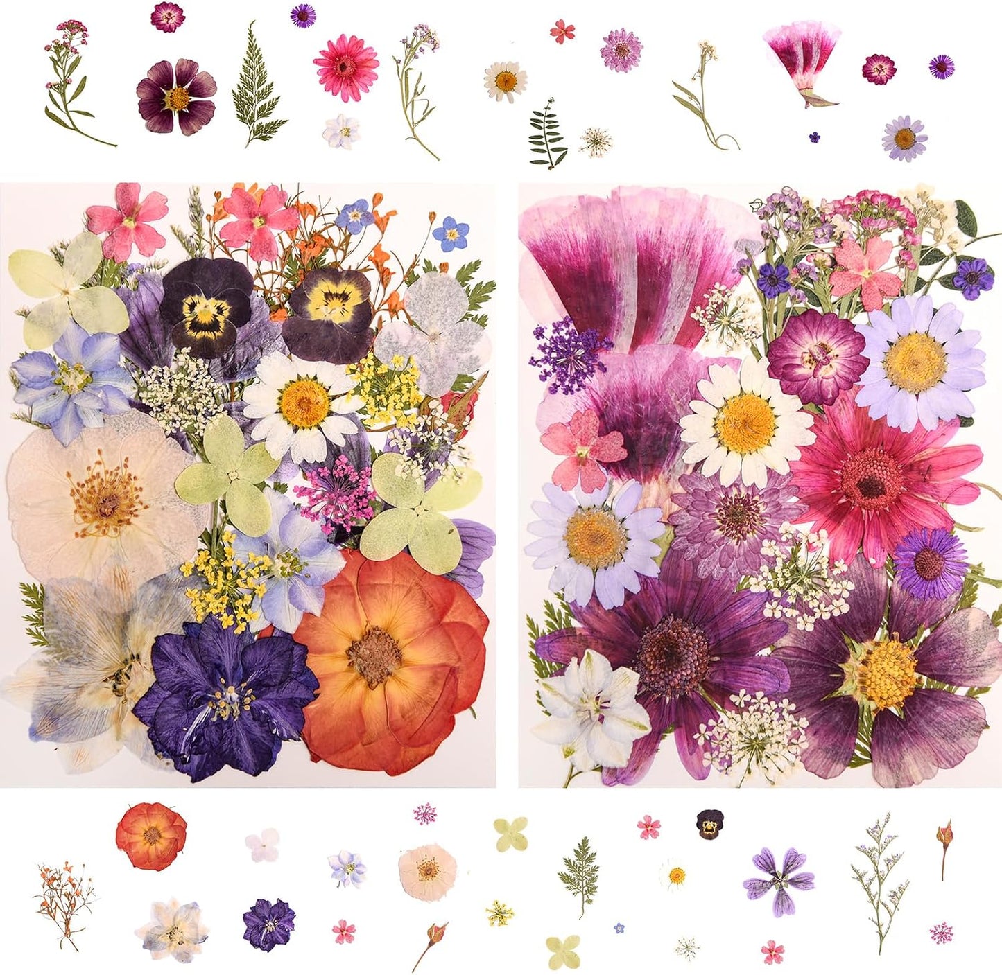 182 PCS Real Pressed Dried Flowers and Leaves for DIY Crafts | Real Natural Dry Flowers with Tweezers For Resin Art, Candle, Nails Décor, Jewelry, Scrapbooking, Soap, Photo frame