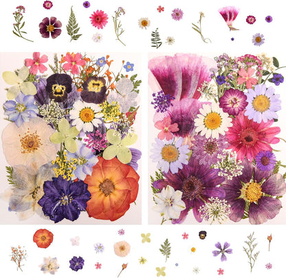 182 PCS Real Pressed Dried Flowers and Leaves for DIY Crafts | Real Natural Dry Flowers with Tweezers For Resin Art, Candle, Nails Décor, Jewelry, Scrapbooking, Soap, Photo frame