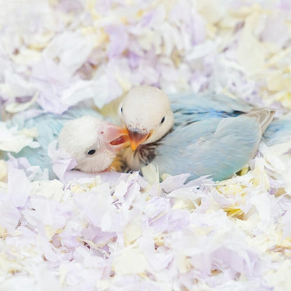 Small Animal Bedding, Bird Cozy Nesting Cotton Paper Material, Enhance Breeding Environment, Low Dust Odor Control for Birds Parrots Parakeets Guinea Pigs Rabbits Hamsters 0.92lb (Yellow and Purple)