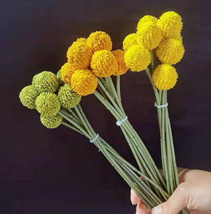 18Stems Fake Flowers Yellow Billy Balls,10" Artificial Billy Button Bouquet | Flower Bouquet,Permanent Flower Craspedia for DIY Crafts Wreath, Table Wedding Party Centerpieces Decor,Holiday Store