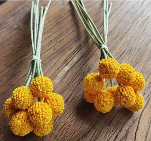 18Stems Fake Flowers Yellow Billy Balls,10" Artificial Billy Button Bouquet | Flower Bouquet,Permanent Flower Craspedia for DIY Crafts Wreath, Table Wedding Party Centerpieces Decor,Holiday Store