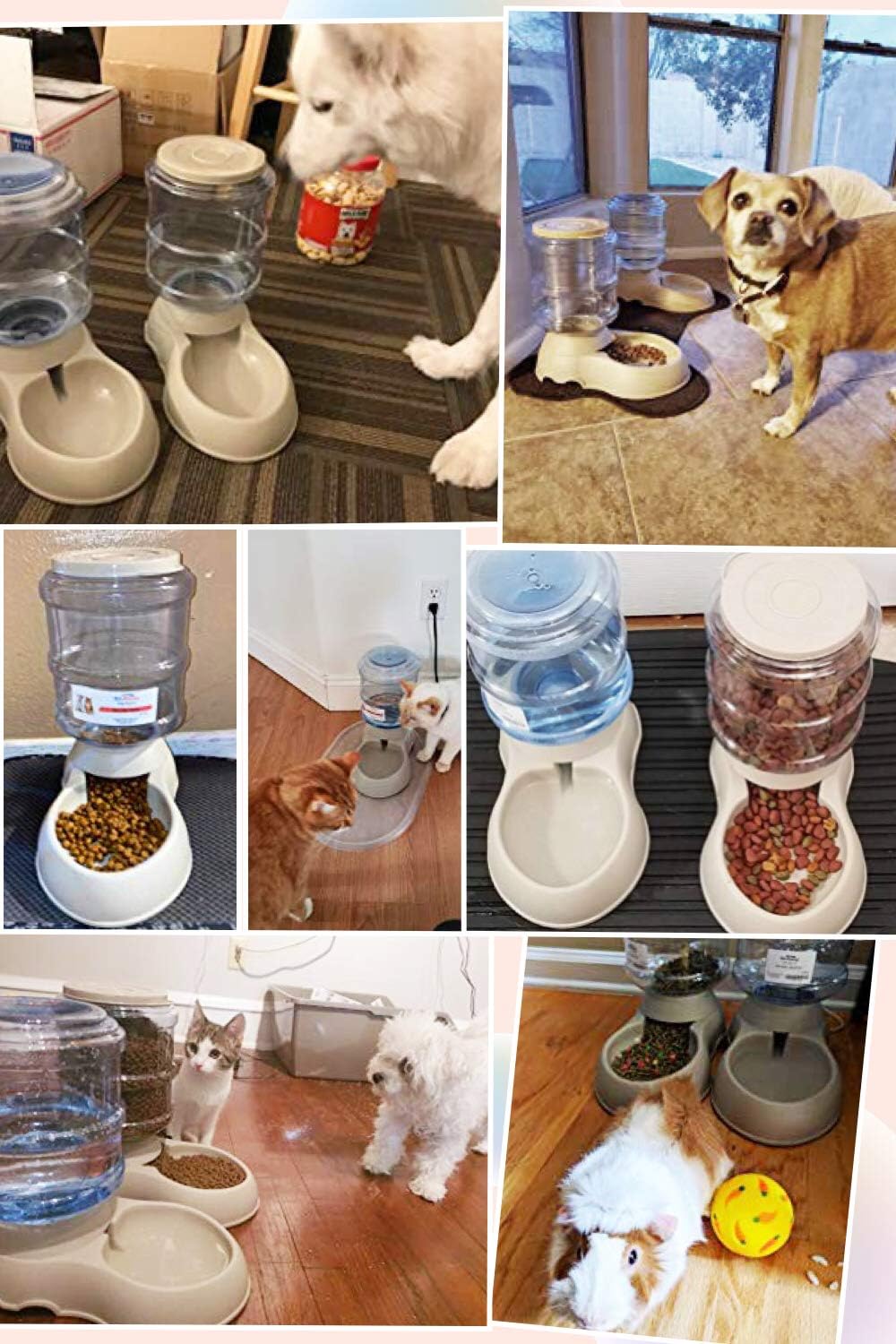 Automatic Cat & Dog Feeder and Water Dispenser Set with Scoop | 1 Gallon Gravity Food Feeder and Waterer Set for Small Medium Puppy and Kitten Pack of 2