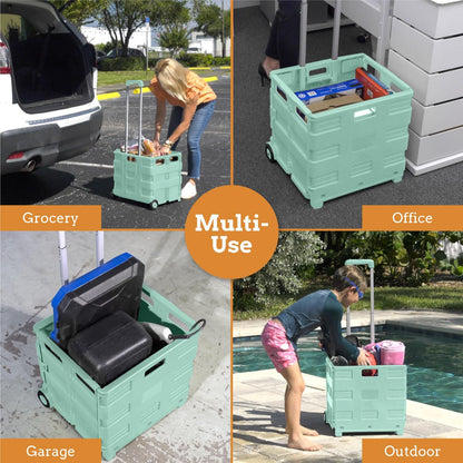 Ultra-Slim Rolling Collapsible Storage Pack-N-Roll Utility-carts, with Telescopic Handle, for Home, Garden, Shopping, Office, School use, Medium, Yellow & Black