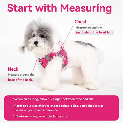 Dog Harness for Small Medium Dogs No Pull, Puppy Harness and Leash Set for Walking, Running, Training, Small Dog Harness, Medium Dog Harness (Yellow, S)