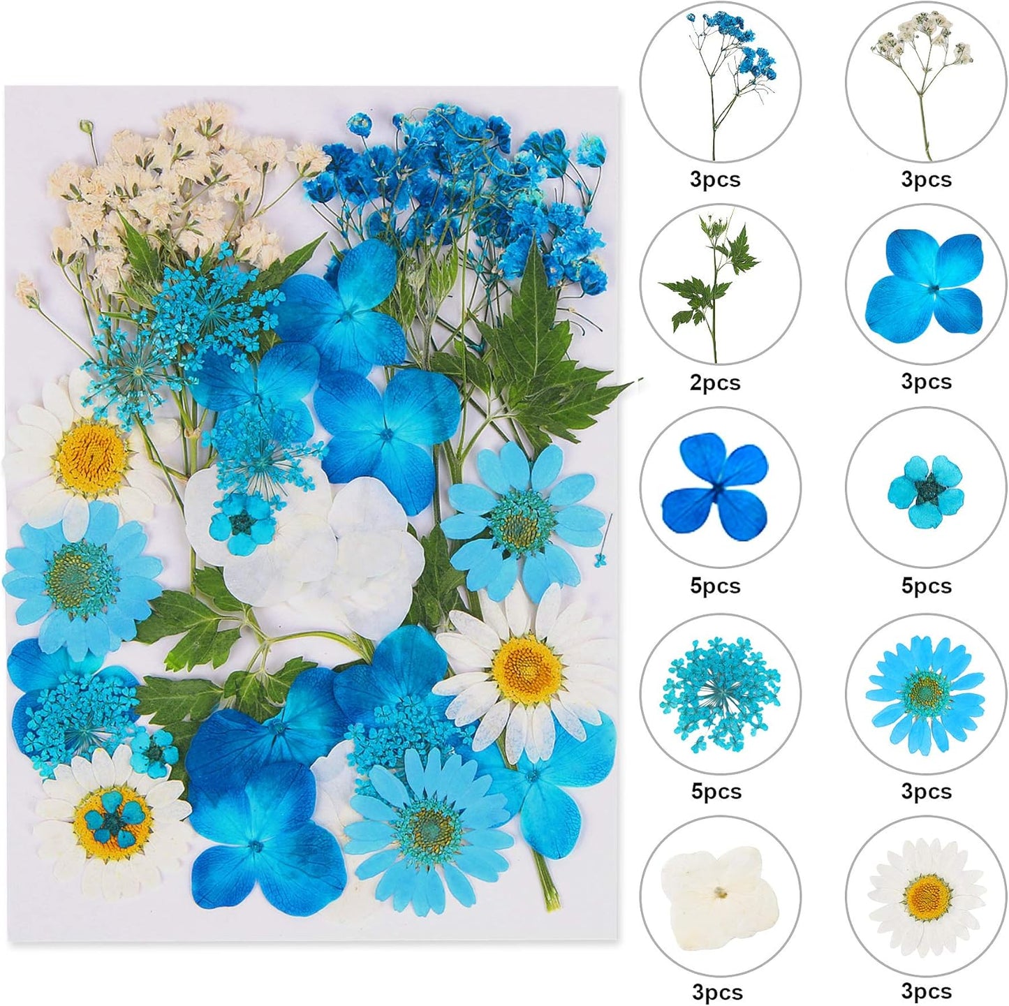 Blue Dried Pressed Flowers - Natural Real Colorful Dry Flowers for Resin Jewelry Nail Art Craft DIY