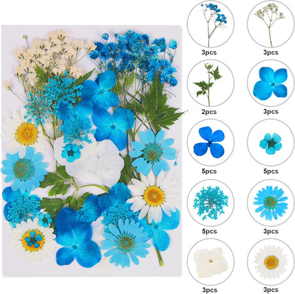Blue Dried Pressed Flowers - Natural Real Colorful Dry Flowers for Resin Jewelry Nail Art Craft DIY
