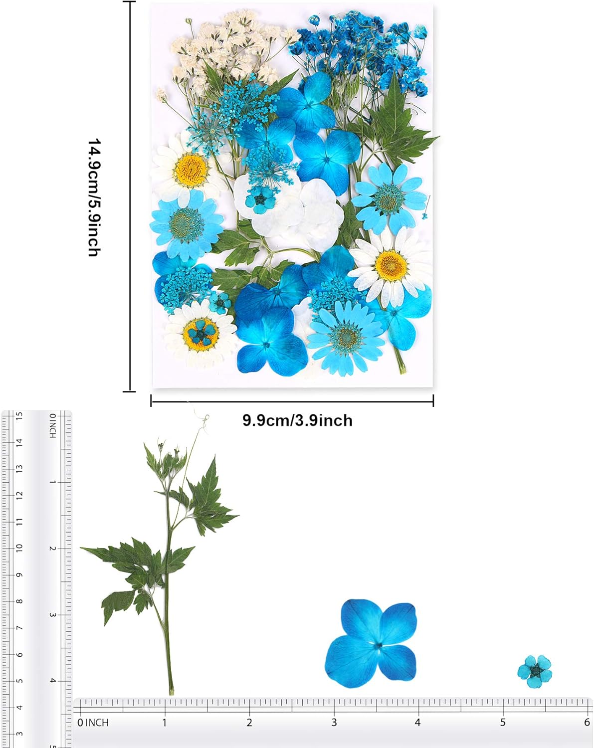 Blue Dried Pressed Flowers - Natural Real Colorful Dry Flowers for Resin Jewelry Nail Art Craft DIY