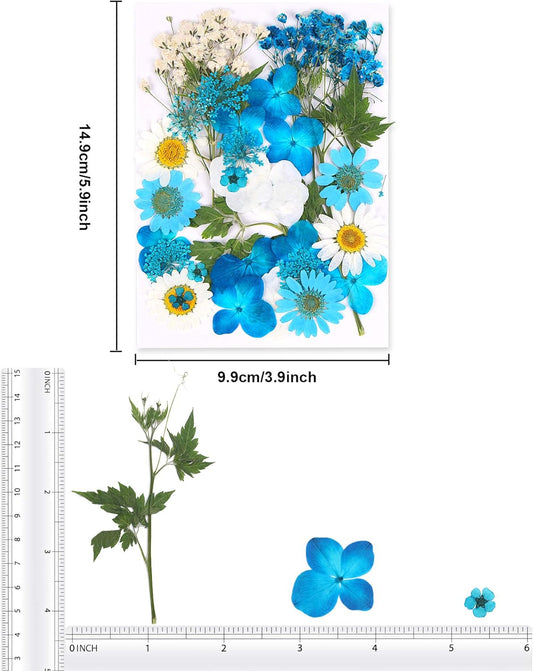 Blue Dried Pressed Flowers - Natural Real Colorful Dry Flowers for Resin Jewelry Nail Art Craft DIY