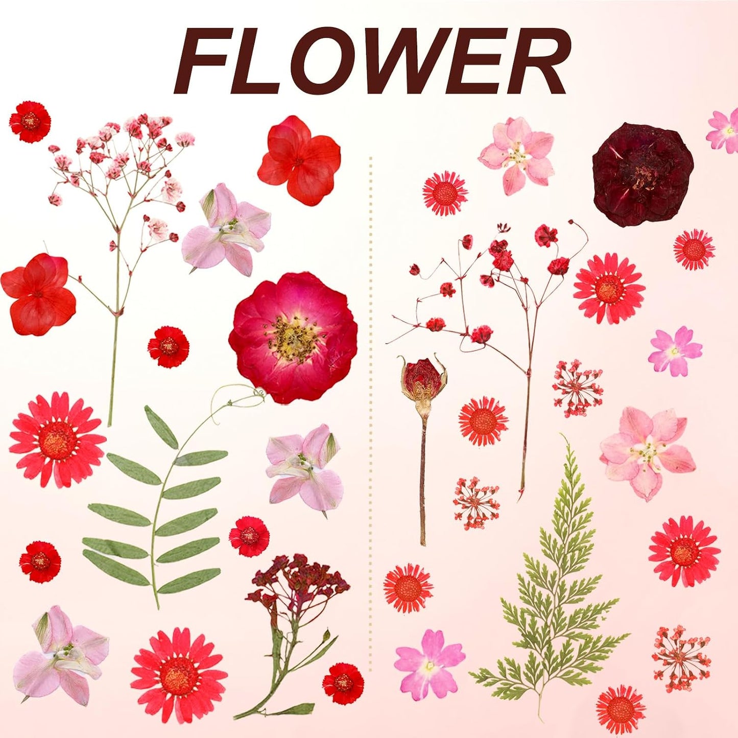 Dried Pressed Flowers Real Pressed Flowers Natural Dry Leaves Bulk Mixed Colorful Herbs Kit with Tweezers for Scrapbooking DIY Candle Jewelry Crafts Making Nails (Red)