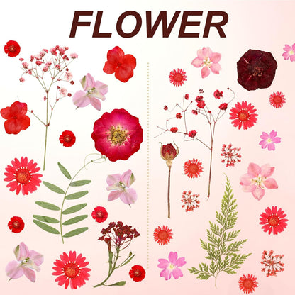 Dried Pressed Flowers Real Pressed Flowers Natural Dry Leaves Bulk Mixed Colorful Herbs Kit with Tweezers for Scrapbooking DIY Candle Jewelry Crafts Making Nails (Red)