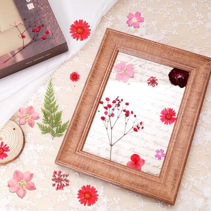 Dried Pressed Flowers Real Pressed Flowers Natural Dry Leaves Bulk Mixed Colorful Herbs Kit with Tweezers for Scrapbooking DIY Candle Jewelry Crafts Making Nails (Red)