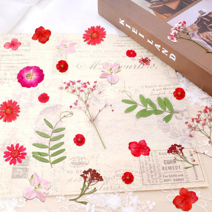 Dried Pressed Flowers Real Pressed Flowers Natural Dry Leaves Bulk Mixed Colorful Herbs Kit with Tweezers for Scrapbooking DIY Candle Jewelry Crafts Making Nails (Red)