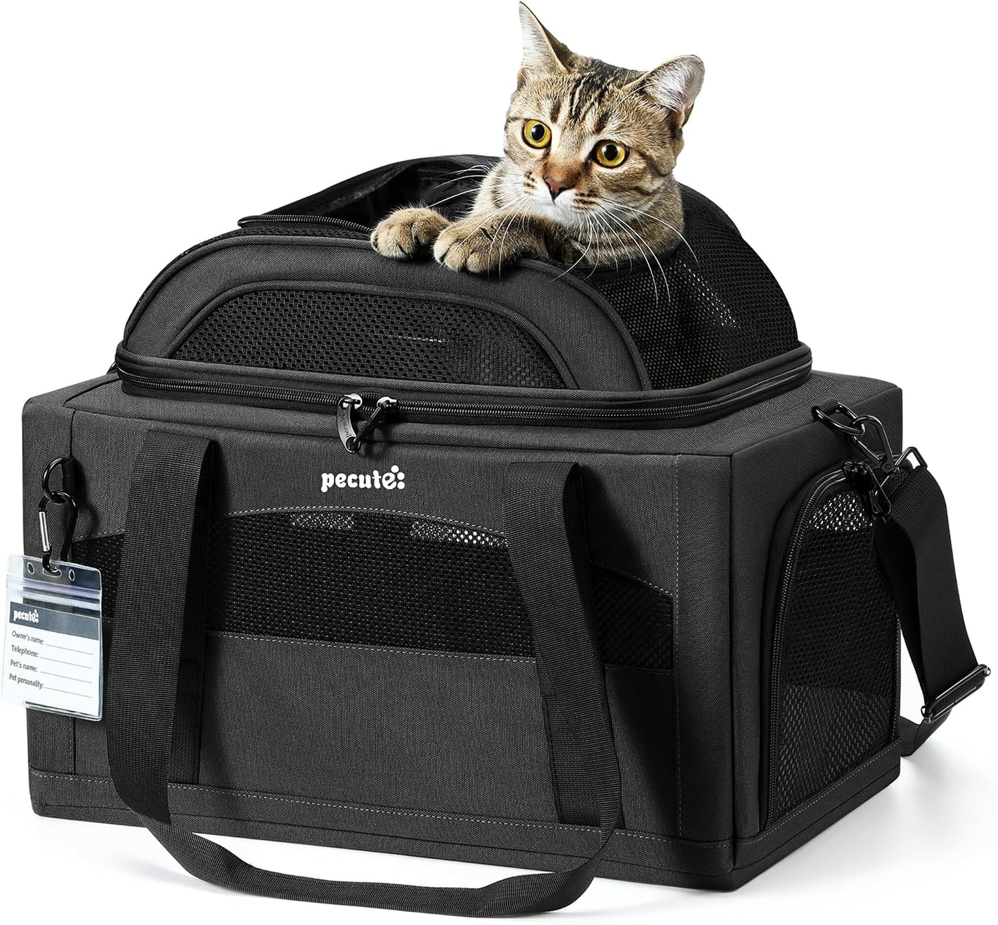 Expandable Airline Approved Pet Carrier for Cats & Dogs, Light Gray | Fits pets under 11 lbs, Under-seat airline approved, Anti-scratch mesh, Safety leash & locking zippers, Leakproof pee pad