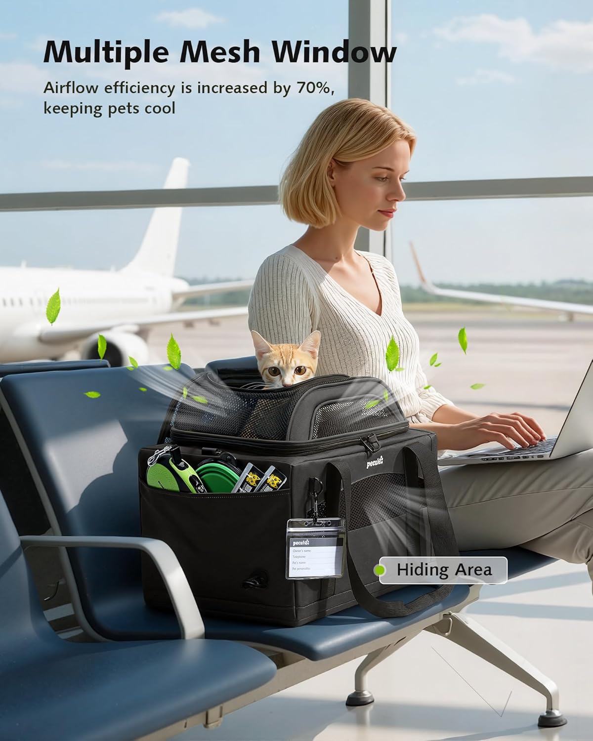 Expandable Airline Approved Pet Carrier for Cats & Dogs, Light Gray | Fits pets under 11 lbs, Under-seat airline approved, Anti-scratch mesh, Safety leash & locking zippers, Leakproof pee pad