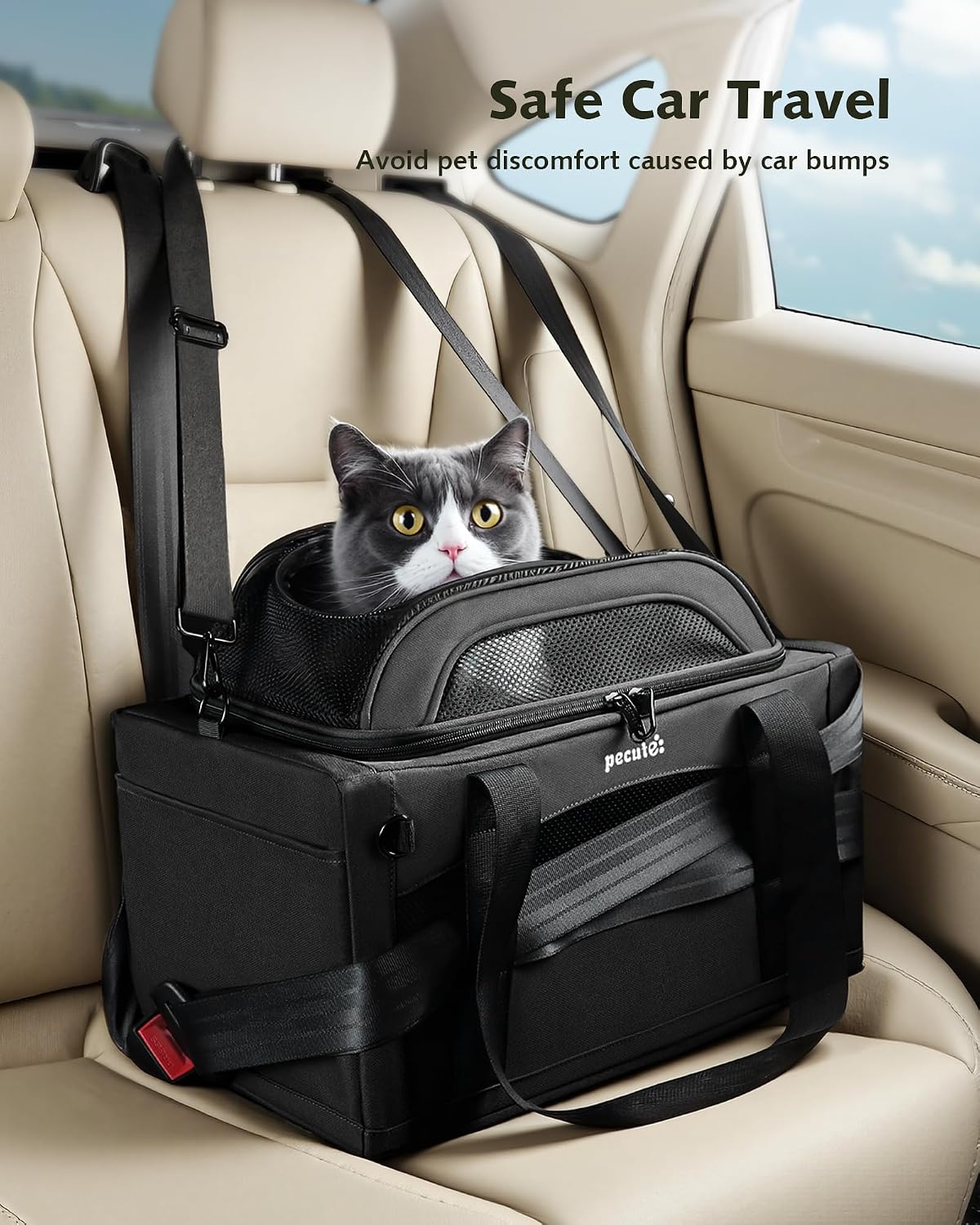 Expandable Airline Approved Pet Carrier for Cats & Dogs, Light Gray | Fits pets under 11 lbs, Under-seat airline approved, Anti-scratch mesh, Safety leash & locking zippers, Leakproof pee pad